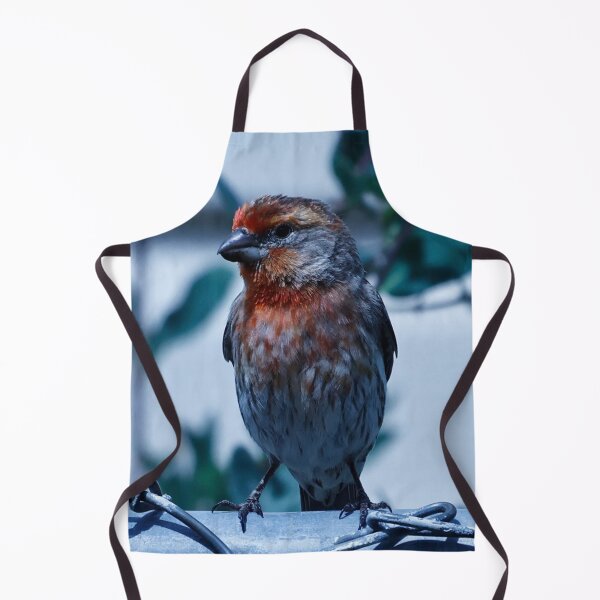 Item preview, House Finch Resting on Fence designed and sold by WilesNailsPower.