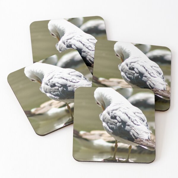 Item preview, Seagull Preening Itself on a Rock designed and sold by WilesNailsPower.