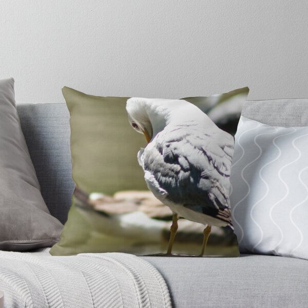 Item preview, Seagull Preening Itself on a Rock designed and sold by WilesNailsPower.