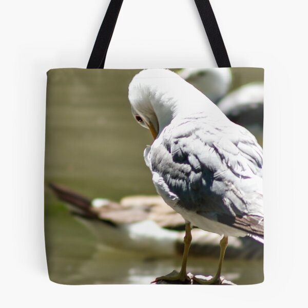 Item preview, Seagull Preening Itself on a Rock designed and sold by WilesNailsPower.