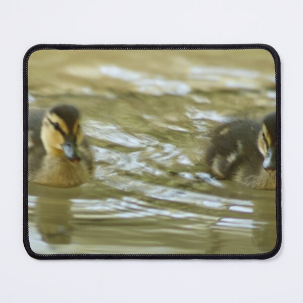 Item preview, Ducklings Swimming in Pond designed and sold by WilesNailsPower.
