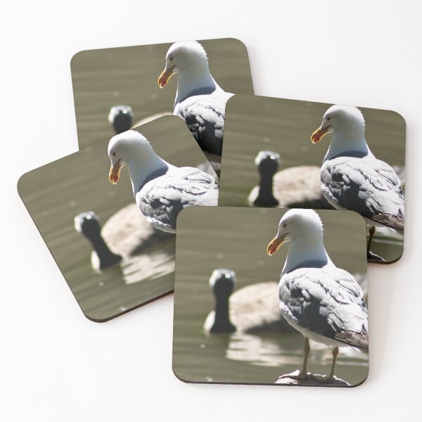 Item preview, Seagull Standing on a Rock designed and sold by WilesNailsPower.