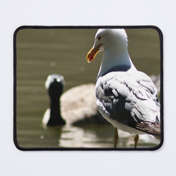 Item preview, Seagull Standing on a Rock designed and sold by WilesNailsPower.