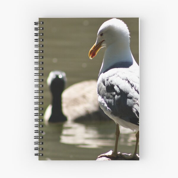 Item preview, Seagull Standing on a Rock designed and sold by WilesNailsPower.