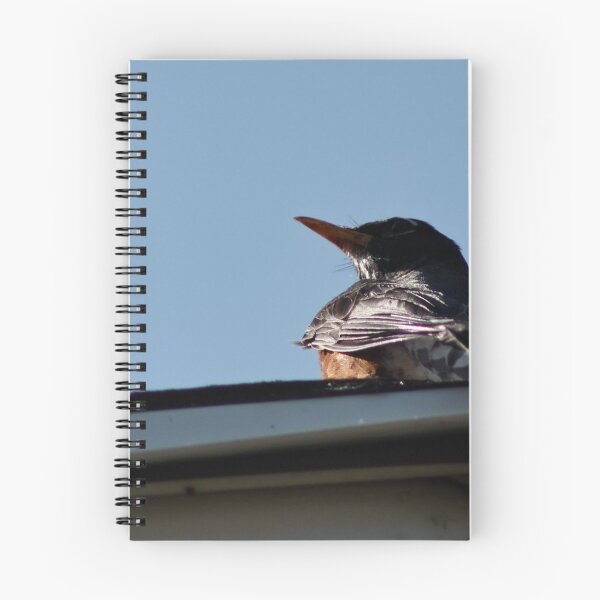 Item preview, American Robin Resting on roof designed and sold by WilesNailsPower.