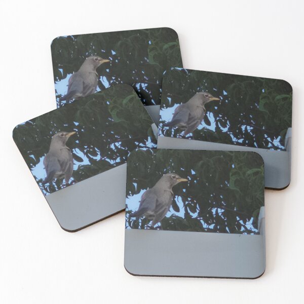 Item preview, American Robin Resting on a Fence designed and sold by WilesNailsPower.
