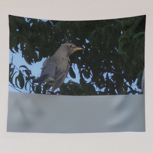 Item preview, American Robin Resting on a Fence designed and sold by WilesNailsPower.