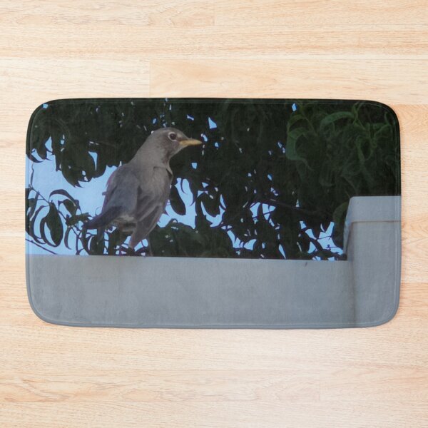 Item preview, American Robin Resting on a Fence designed and sold by WilesNailsPower.