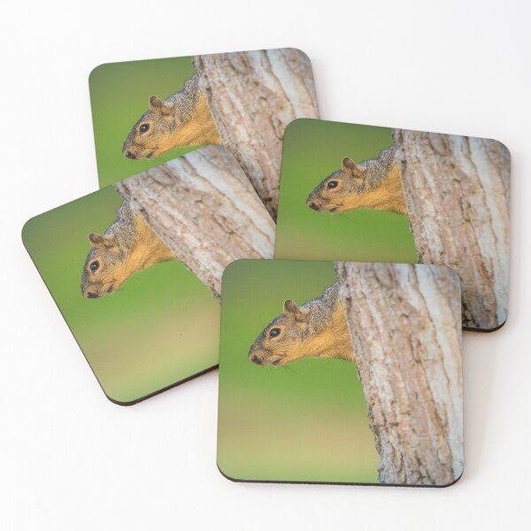 Item preview, Squirrel Peeking From Tree | Woodland Wildlife Photography designed and sold by TheHikersEye.