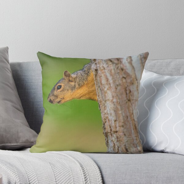 Item preview, Squirrel Peeking From Tree | Woodland Wildlife Photography designed and sold by TheHikersEye.