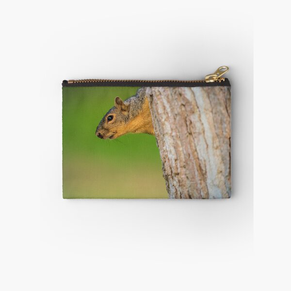 Item preview, Squirrel Peeking From Tree | Woodland Wildlife Photography designed and sold by TheHikersEye.