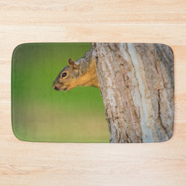 Item preview, Squirrel Peeking From Tree | Woodland Wildlife Photography designed and sold by TheHikersEye.