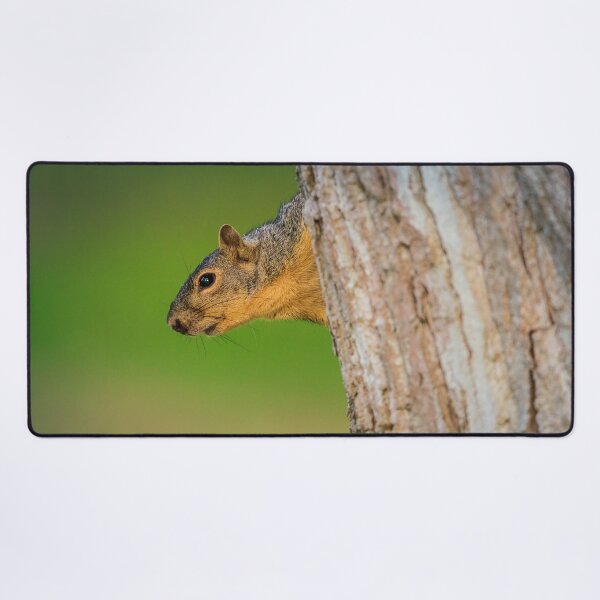 Item preview, Squirrel Peeking From Tree | Woodland Wildlife Photography designed and sold by TheHikersEye.