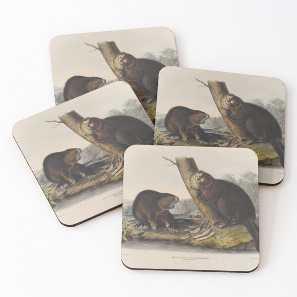 Item preview, American Beaver designed and sold by SharonTheFirst.