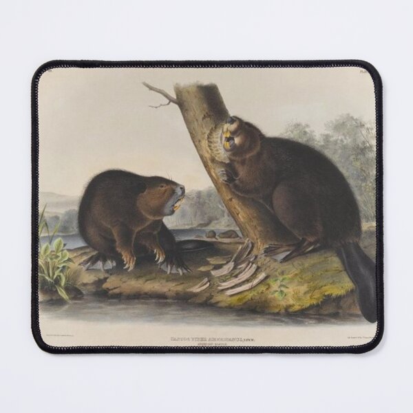 Item preview, American Beaver designed and sold by SharonTheFirst.