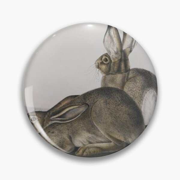 Item preview, Townsend's Rocky Mountain Hare designed and sold by SharonTheFirst.