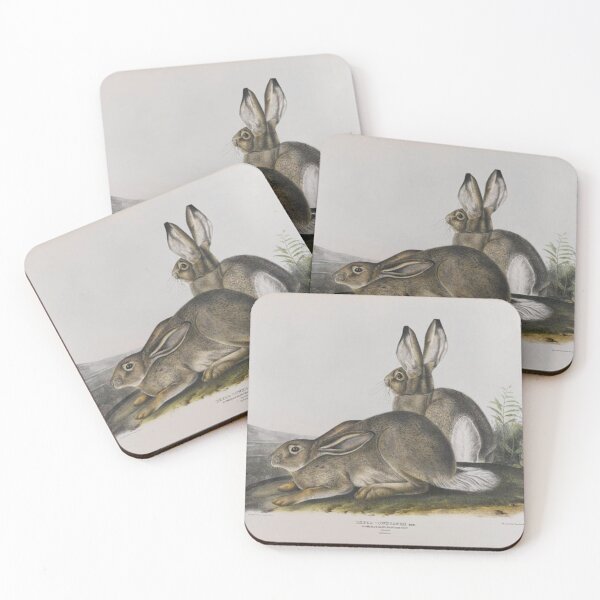 Item preview, Townsend's Rocky Mountain Hare designed and sold by SharonTheFirst.