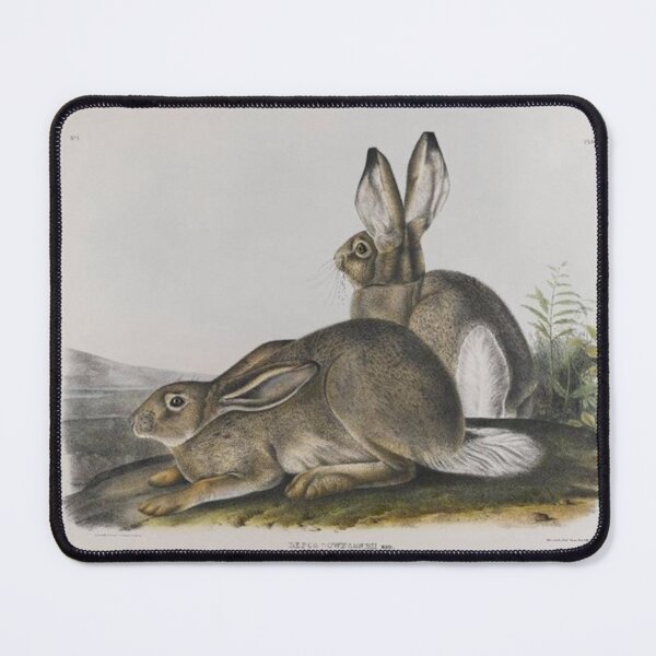 Item preview, Townsend's Rocky Mountain Hare designed and sold by SharonTheFirst.