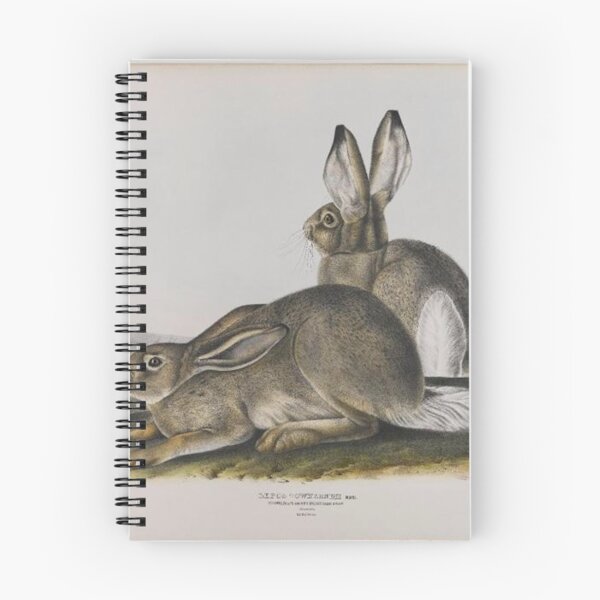 Item preview, Townsend's Rocky Mountain Hare designed and sold by SharonTheFirst.