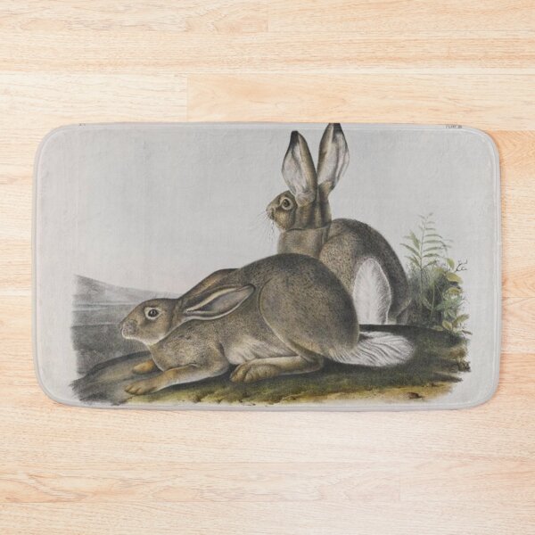 Item preview, Townsend's Rocky Mountain Hare designed and sold by SharonTheFirst.
