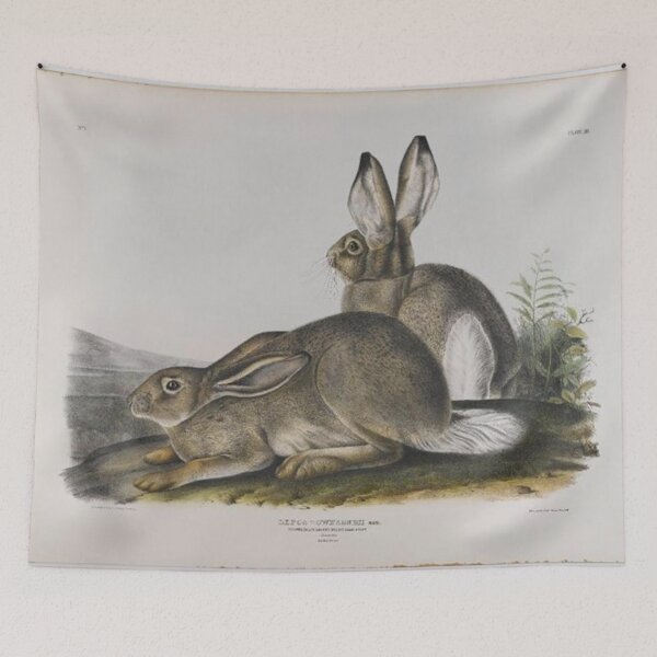 Item preview, Townsend's Rocky Mountain Hare designed and sold by SharonTheFirst.