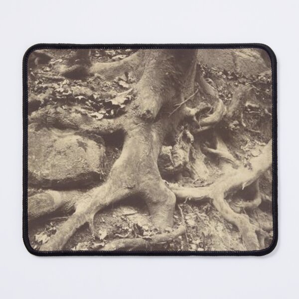 Item preview, Tree Roots, Saint-cloud designed and sold by SharonTheFirst.