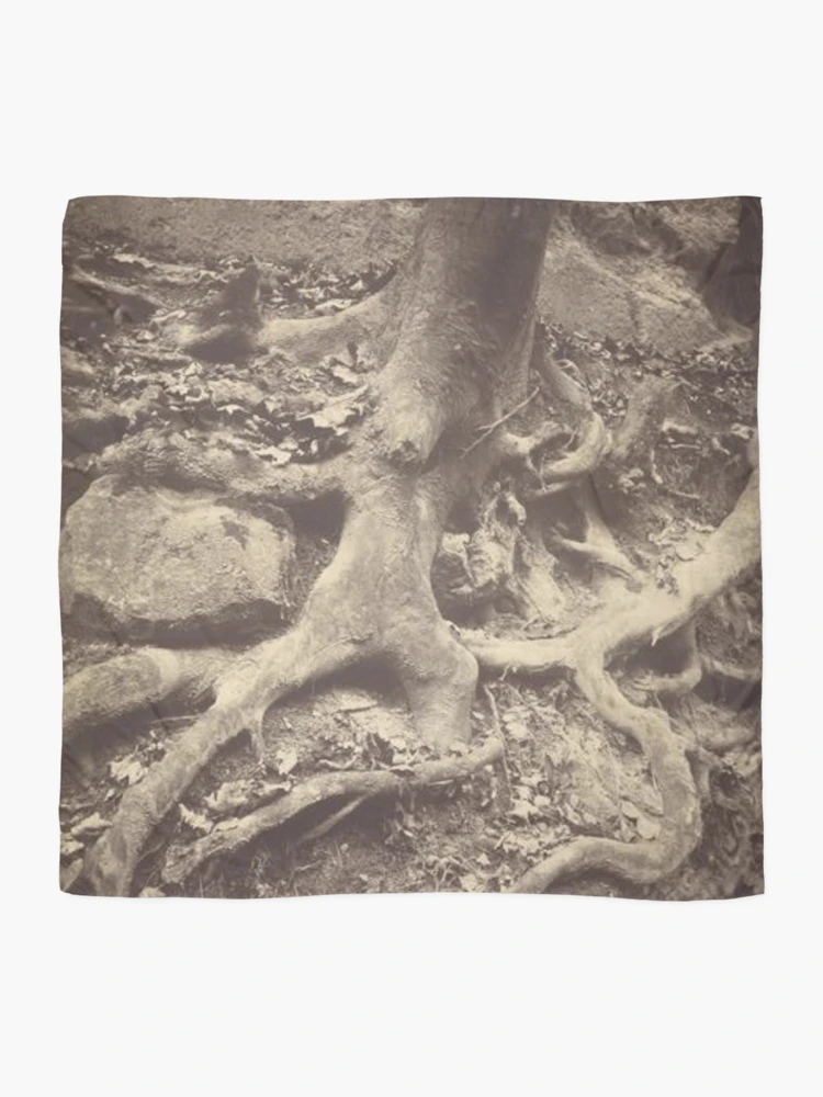 Thumbnail 2 of 3, Scarf, Tree Roots, Saint-cloud designed and sold by SharonTheFirst.