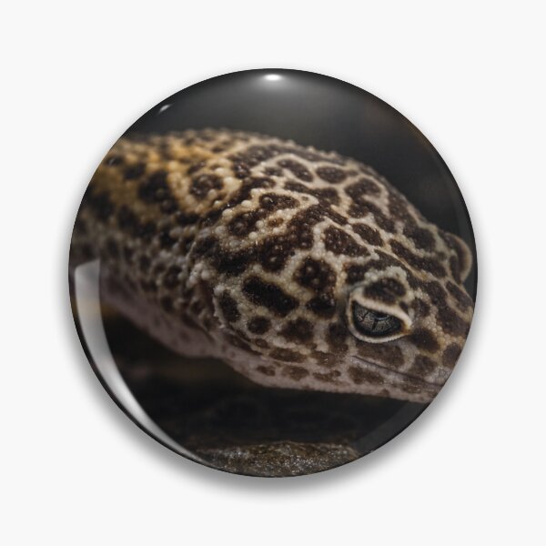 Item preview, Leopard Gecko Under Moonlight, Cinematic Dark Portrait designed and sold by NocturnalNook.
