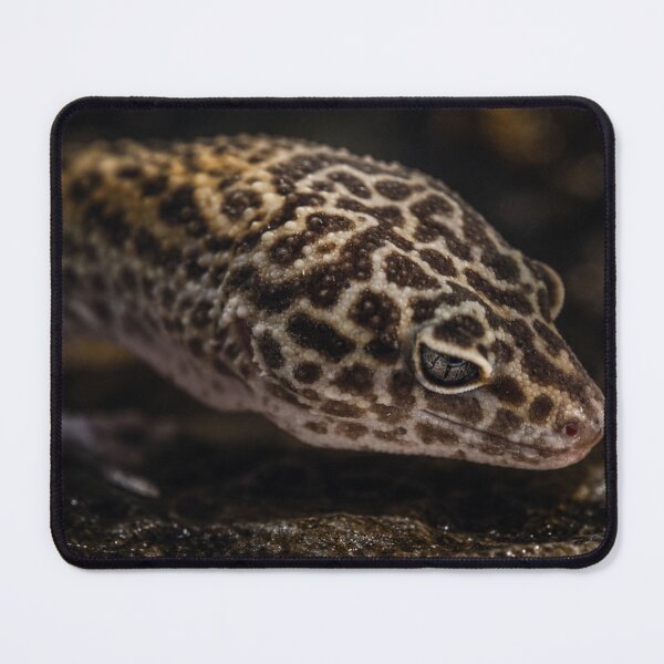 Item preview, Leopard Gecko Under Moonlight, Cinematic Dark Portrait designed and sold by NocturnalNook.