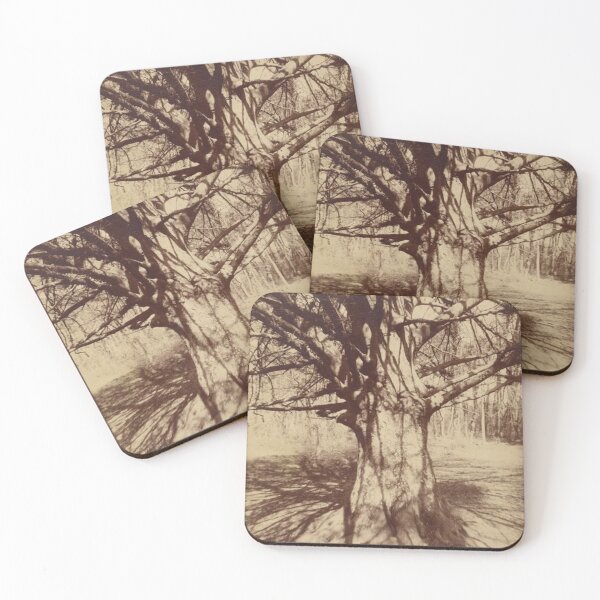 Item preview, Beech Tree designed and sold by SharonTheFirst.