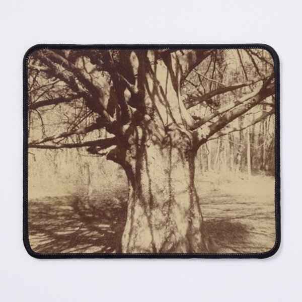 Item preview, Beech Tree designed and sold by SharonTheFirst.