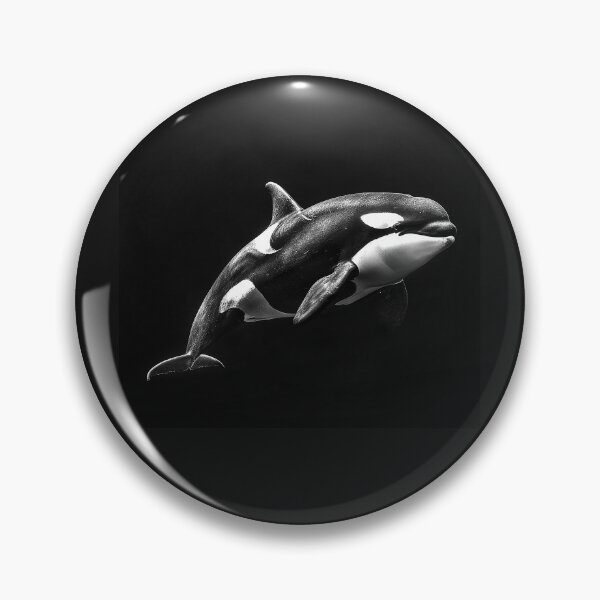 Item preview, Orca in Dark Water Monochrome Marine Wildlife Art designed and sold by inkoutninja.