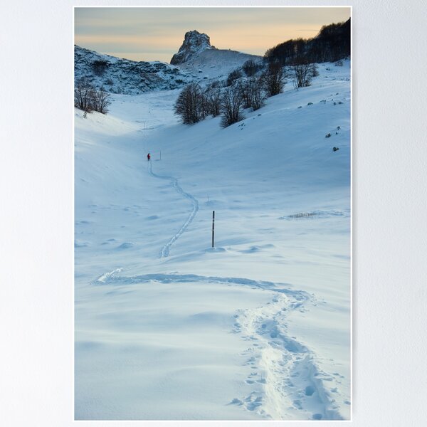 Item preview, A path in the snow designed and sold by ivancoric.