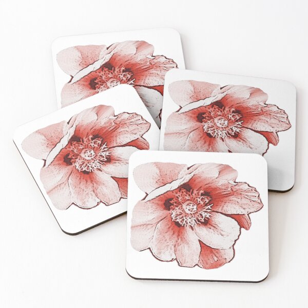 Item preview, large flower motif, spring outfit for women, pretty plants designed and sold by Kirei-Lily.
