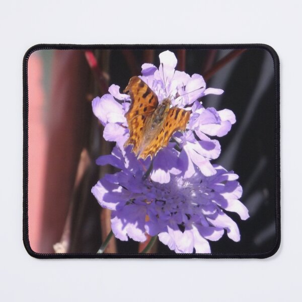Item preview, Resting Comma designed and sold by WildWhiskersCo.