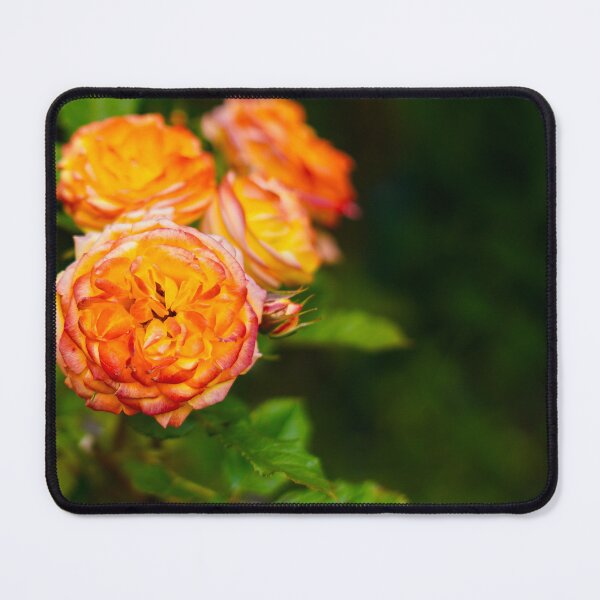 Item preview, Golden Rose / Romantic Botanical Art designed and sold by TheScarletLens.