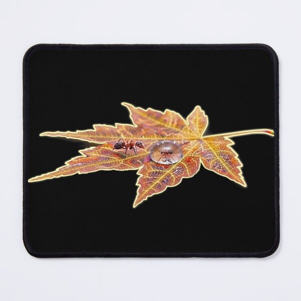 Item preview, Ant and droplet on Maple leaf designed and sold by lightrookiepk.