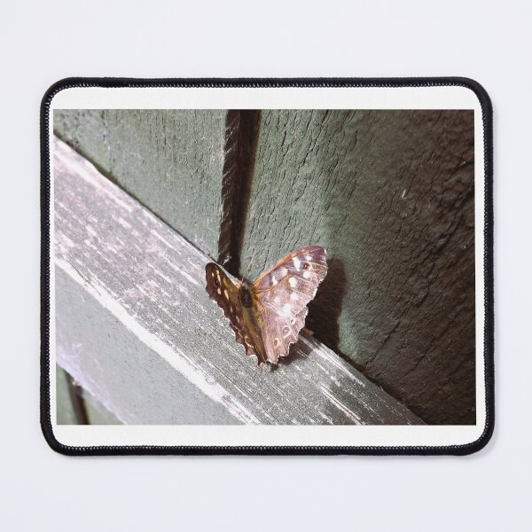 Item preview, Speckled wood designed and sold by WildWhiskersCo.