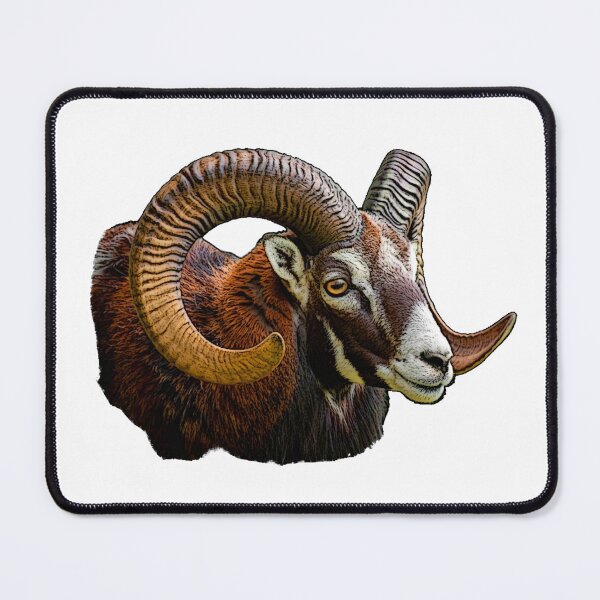 Item preview, Mouflon head, sheep head, wild sheep, animal shirts for men designed and sold by Kirei-Lily.