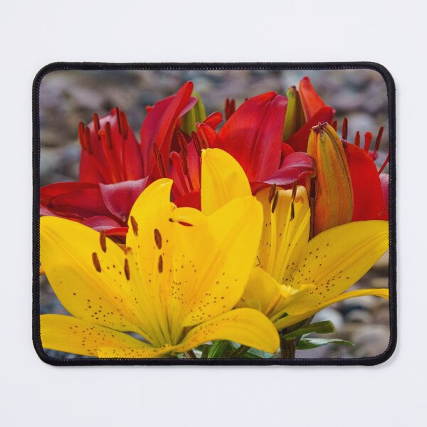 Item preview, Yellow lily in a sea of blossoms designed and sold by TheScarletLens.