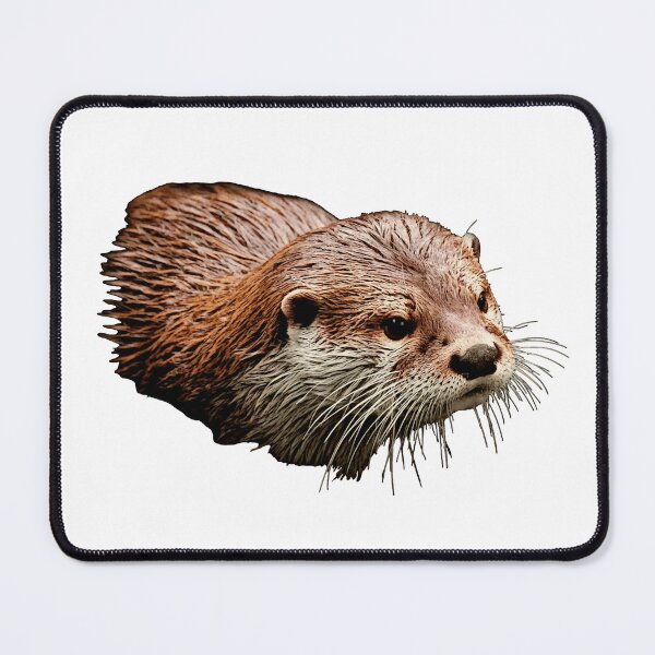 Item preview, Otter canvas pattern, animal lover outfits, adorable ottershirts designed and sold by Kirei-Lily.