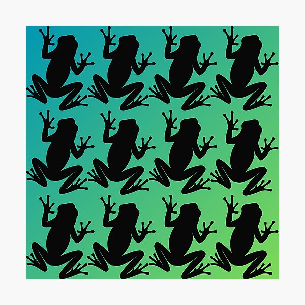 Photographic Print
