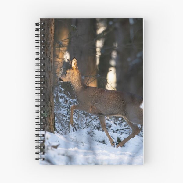 Item preview, Roe deer (Capreolus capreolus)  designed and sold by Stephen Jarman.