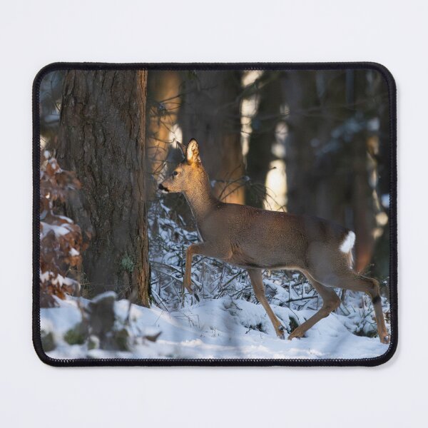 Item preview, Roe deer (Capreolus capreolus) designed and sold by Stephen Jarman.