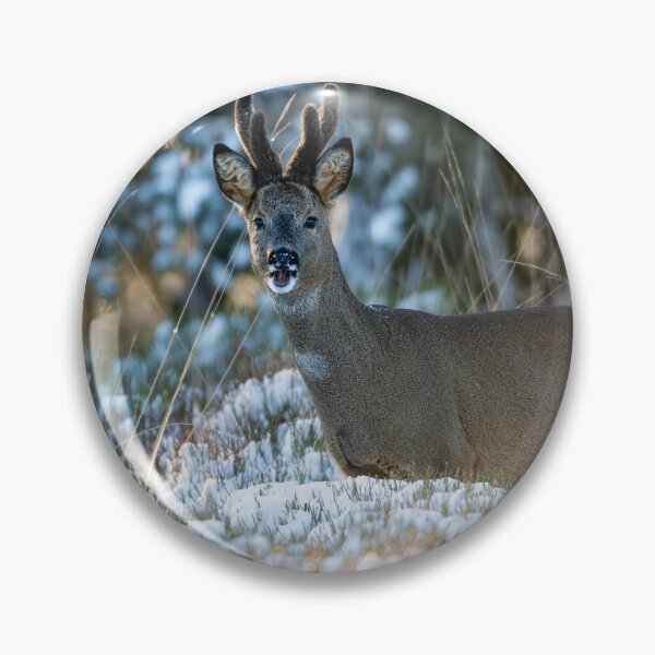 Item preview, Roe deer (Capreolus capreolus)  designed and sold by Stephen Jarman.