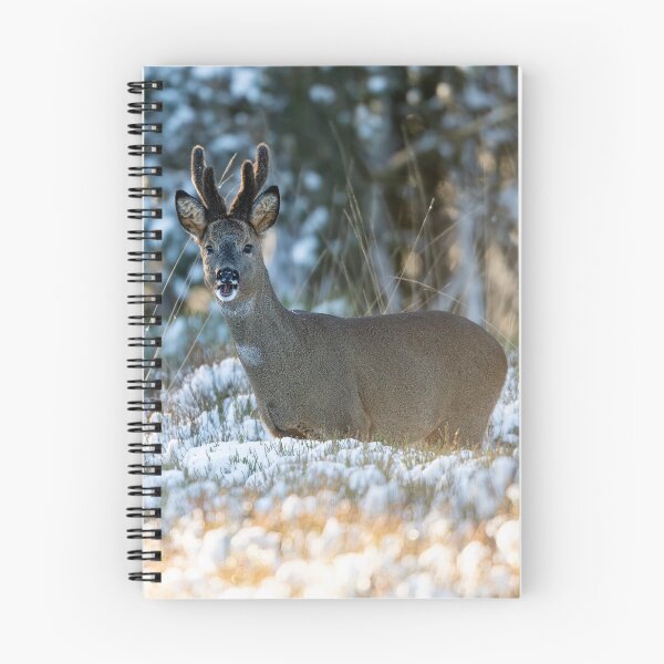 Item preview, Roe deer (Capreolus capreolus)  designed and sold by Stephen Jarman.