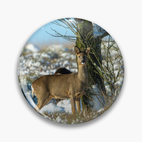 Item preview, Roe deer (Capreolus capreolus) winter scene designed and sold by Stephen Jarman.