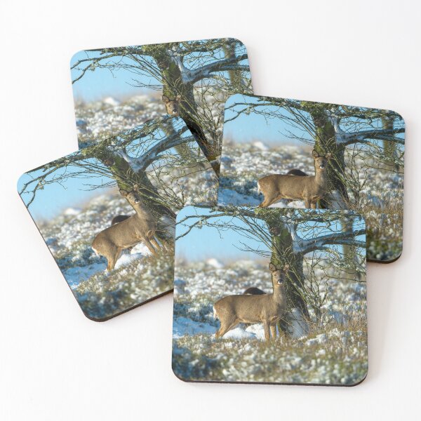 Item preview, Roe deer (Capreolus capreolus) winter scene designed and sold by Stephen Jarman.
