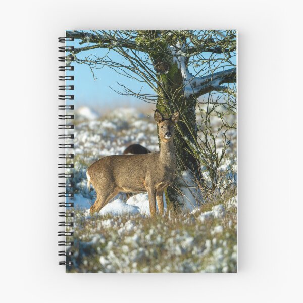 Item preview, Roe deer (Capreolus capreolus) winter scene designed and sold by Stephen Jarman.