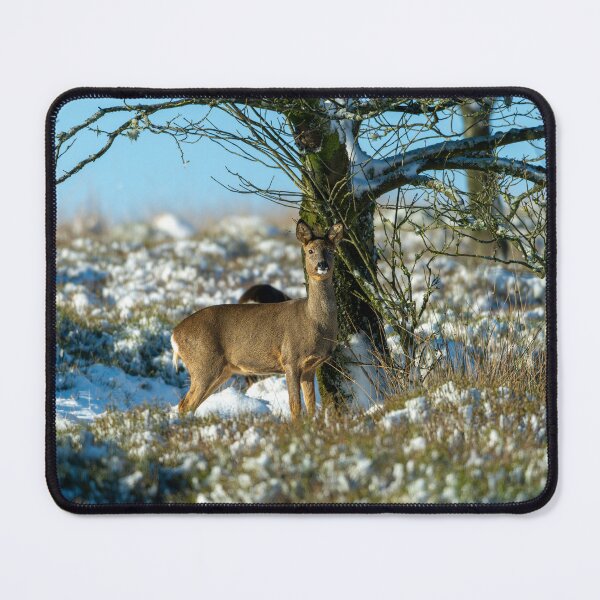 Item preview, Roe deer (Capreolus capreolus) winter scene designed and sold by Stephen Jarman.